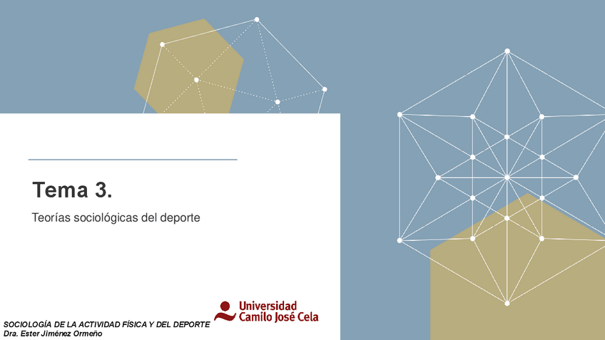 Miniatura del documento Tema-3.-Teorias-sociologicas-del-deporteppt.pdf