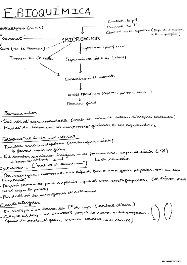 Miniatura del documento Introduccio-a-lEnginyeria-Bioquimica.pdf
