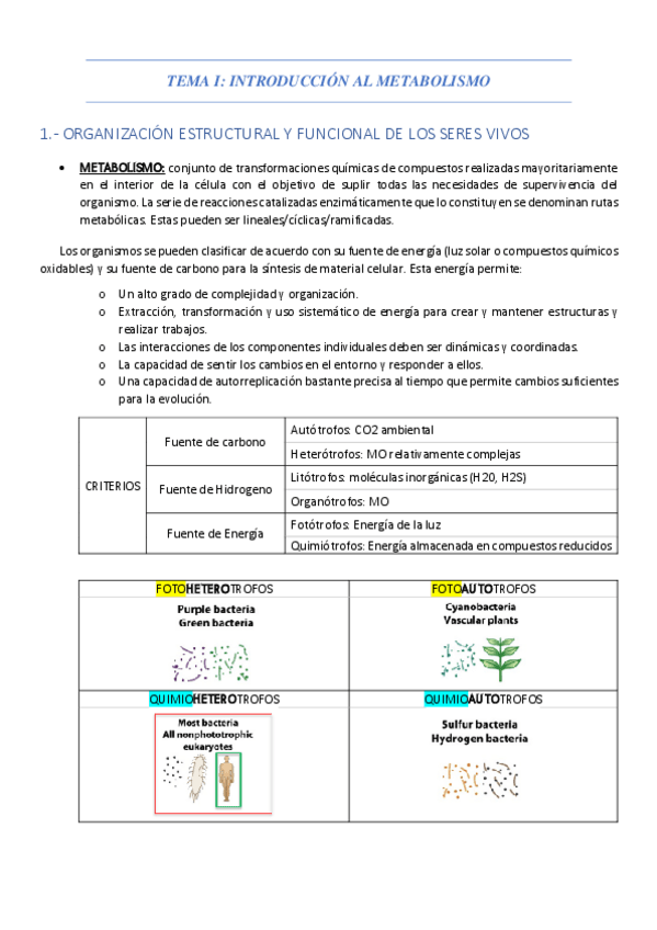 Miniatura del documento BLOQUE-I.pdf