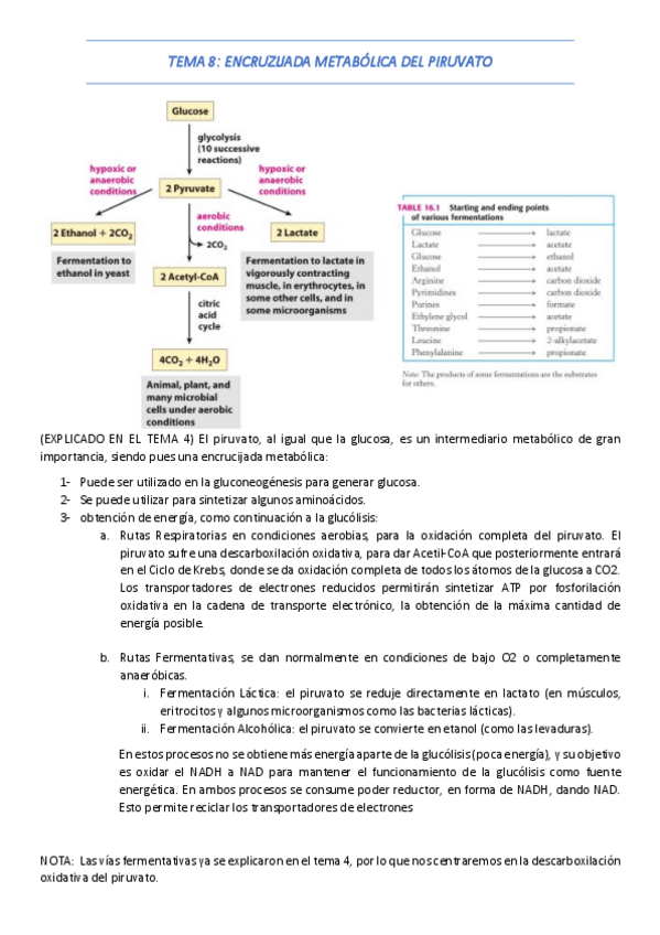 Miniatura del documento TEMA-8y9.pdf