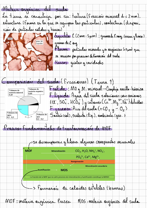 Miniatura del documento Tema-4.pdf