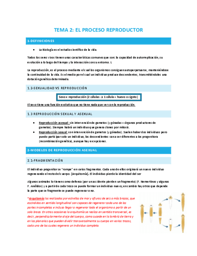 Miniatura del documento TEMA-2-EL-PROCESO-REPRODUCTOR.pdf