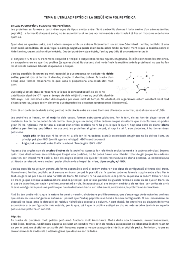 Miniatura del documento T2.pdf