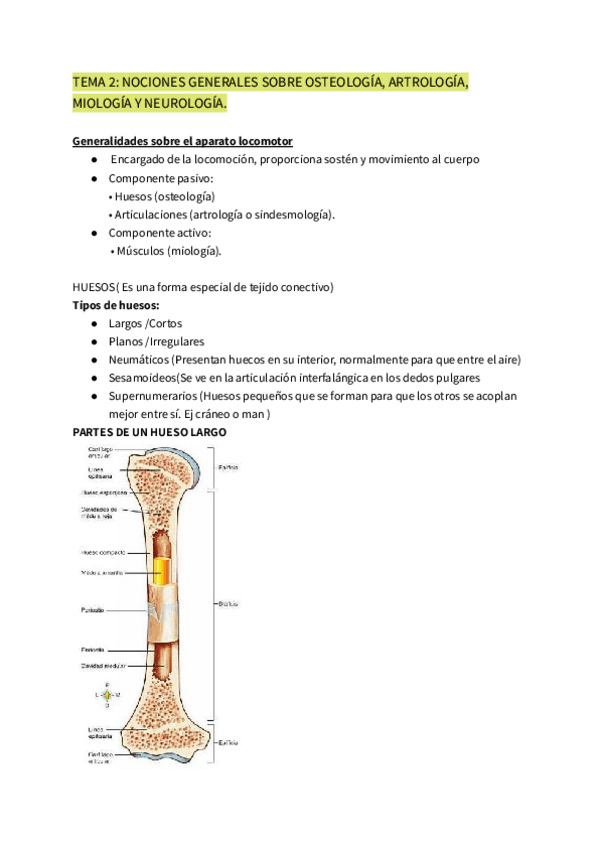 Miniatura del documento ANATOMIA-HUMANA-GENERAL.pdf