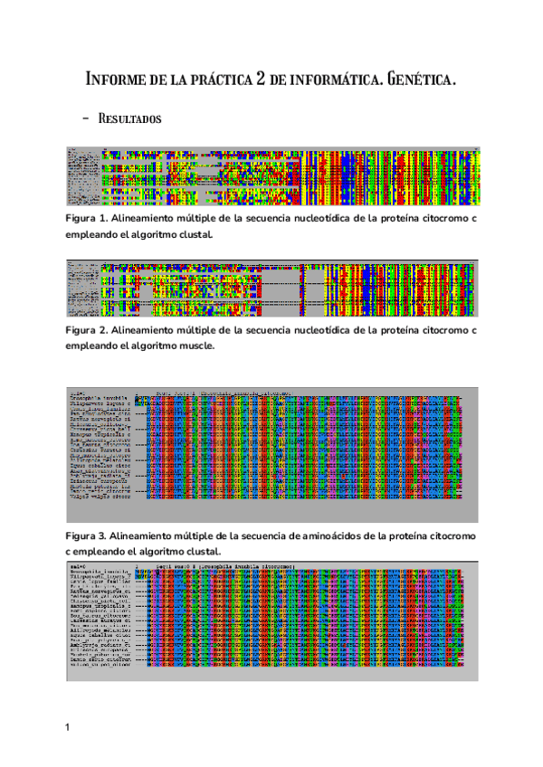 Miniatura del documento INFORME-PRACTICA-GENETICA-EJEMPLO.pdf