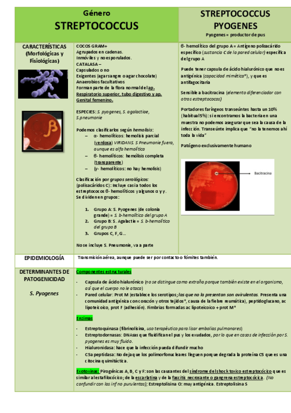 Miniatura del documento Genero-Streptoccoccus.pdf