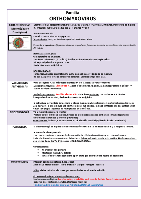 Miniatura del documento Orthomyxovrius.pdf
