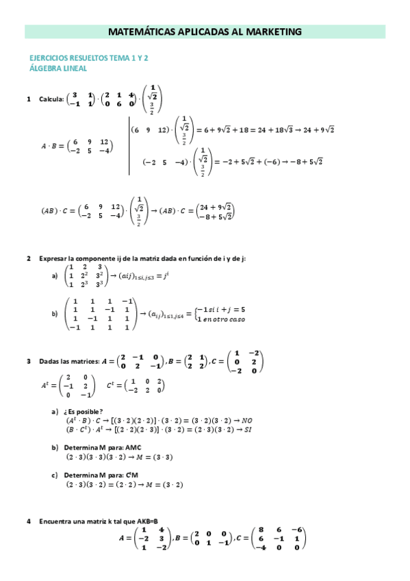 Miniatura del documento TEMA-1-Y-2-EJERCICIOS-RESUELTOS-MATEMATICAS.pdf