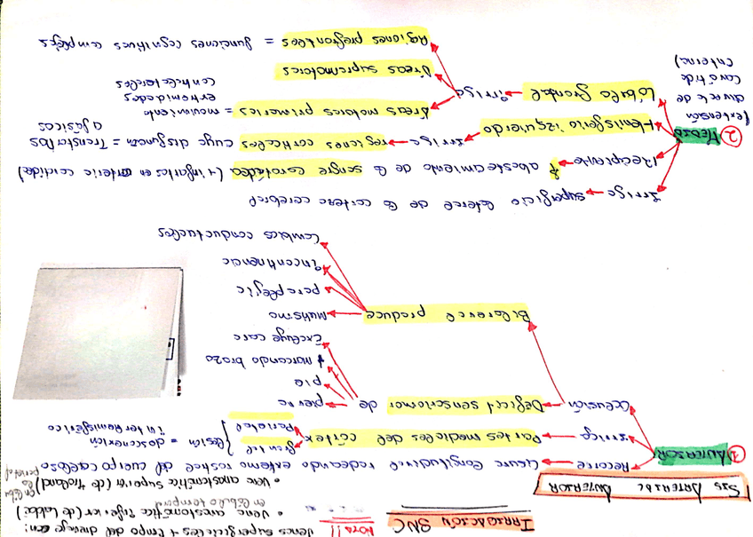 Miniatura del documento SNC.jpg