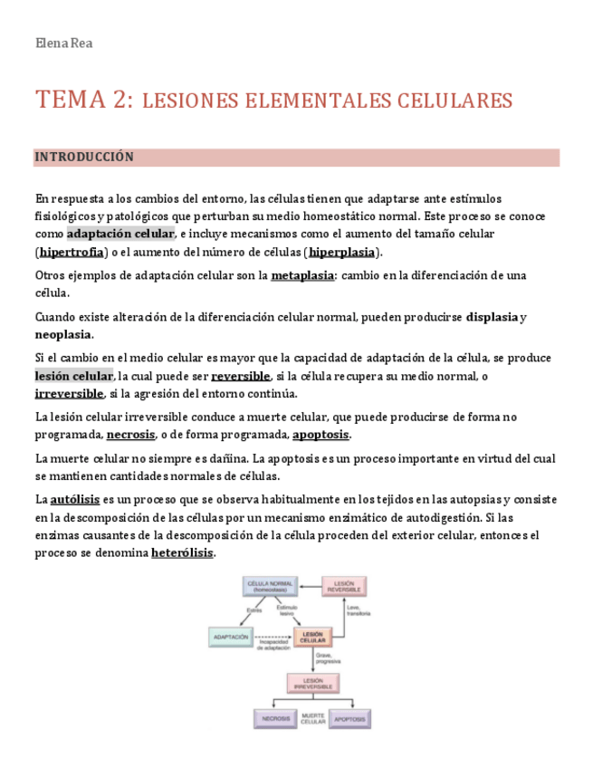Miniatura del documento Tema-2.-Lesiones-celulares-elementales. Tema-3. -La-lesión-celular-reversible-e-irreversible.pdf