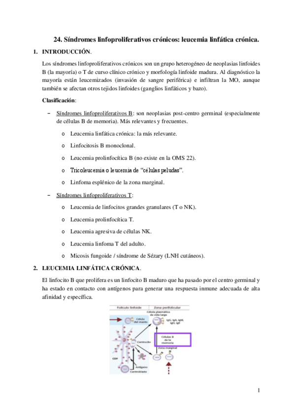 Miniatura del documento 24.-Sindromes-linfoproliferativos-cronicos.-LLC.pdf