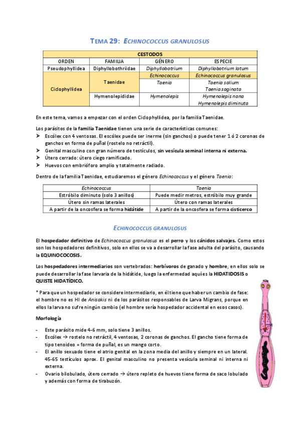 Miniatura del documento Tema 29 para.pdf