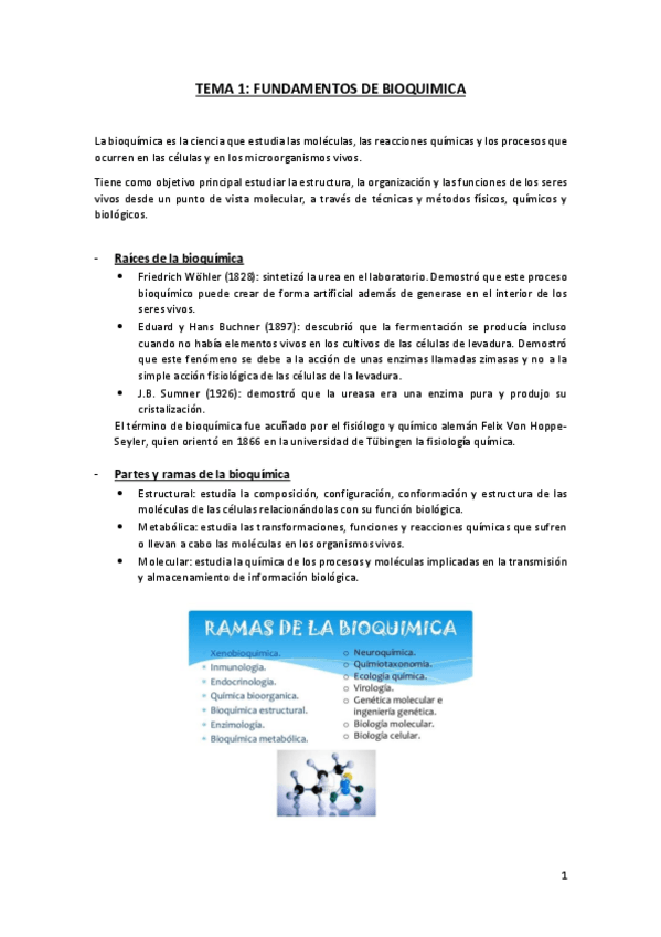 Miniatura del documento Tema-1-Fundamentos-de-bioquimica.pdf