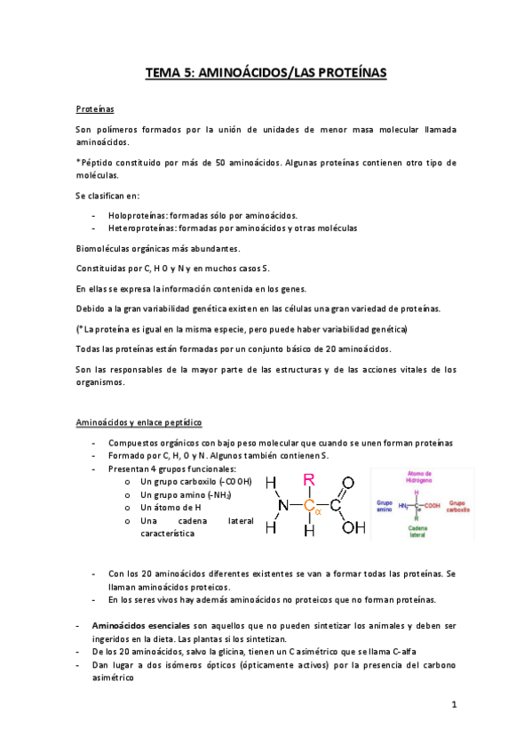 Miniatura del documento Tema-5-aminoacidos-proteinas.pdf