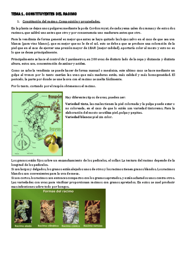 Miniatura del documento TEMA-1-ENOLOGIA.pdf