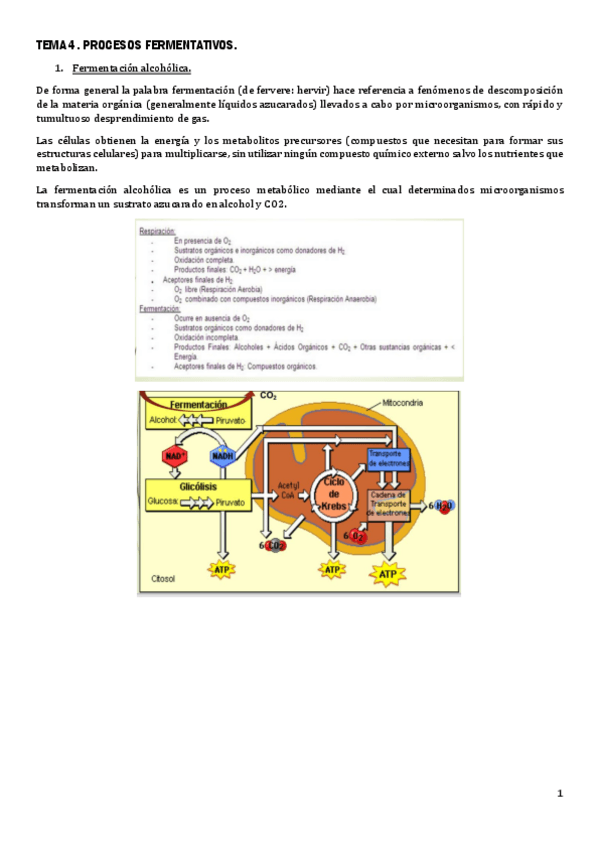 Miniatura del documento TEMA-4-ENOLOGIA.pdf
