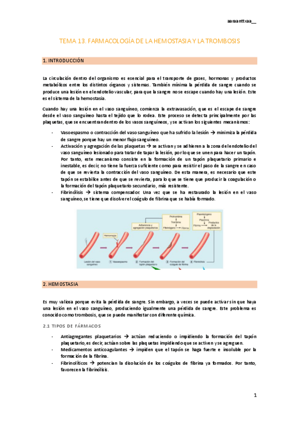 Miniatura del documento tema-13.pdf