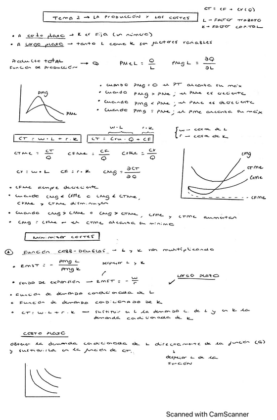 Miniatura del documento RESUMEN-APUNTES-TEMA-2.pdf