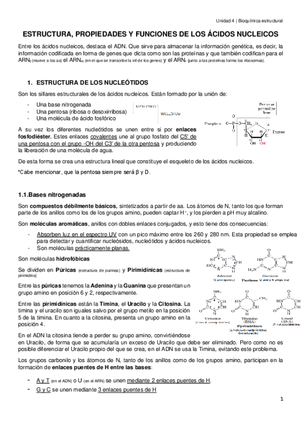 Miniatura del documento Unidad-4.-Bioquimica-estructural.pdf