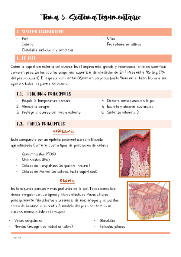 Miniatura del documento Tema-5-sistema-tegumentario.pdf