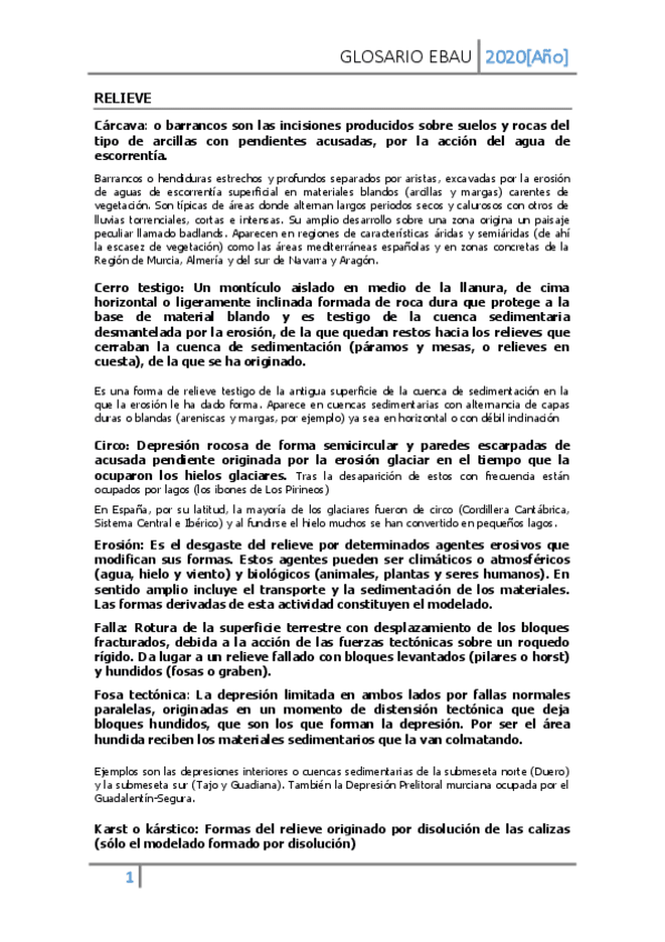 Miniatura del documento CONCEPTOS-EBAU.pdf