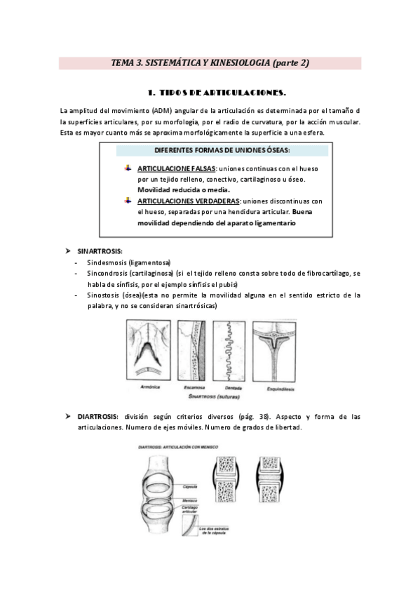 Miniatura del documento TEMA-3-segunda-parte.pdf