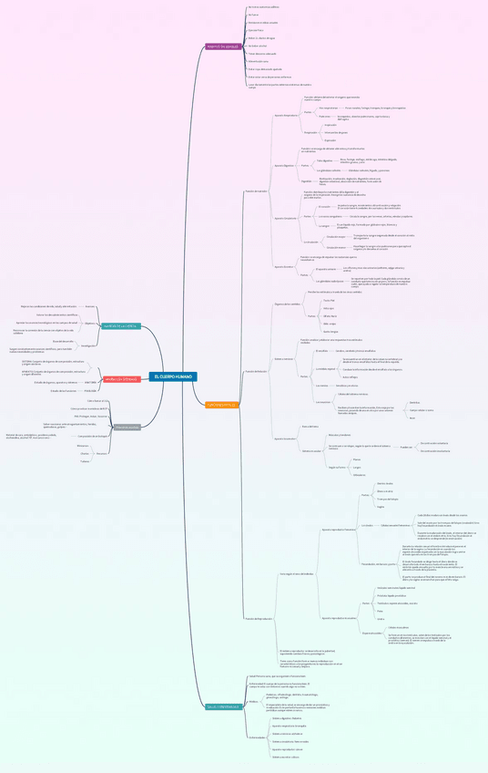 Miniatura del documento EL-CUERPO-HUMANO.pdf