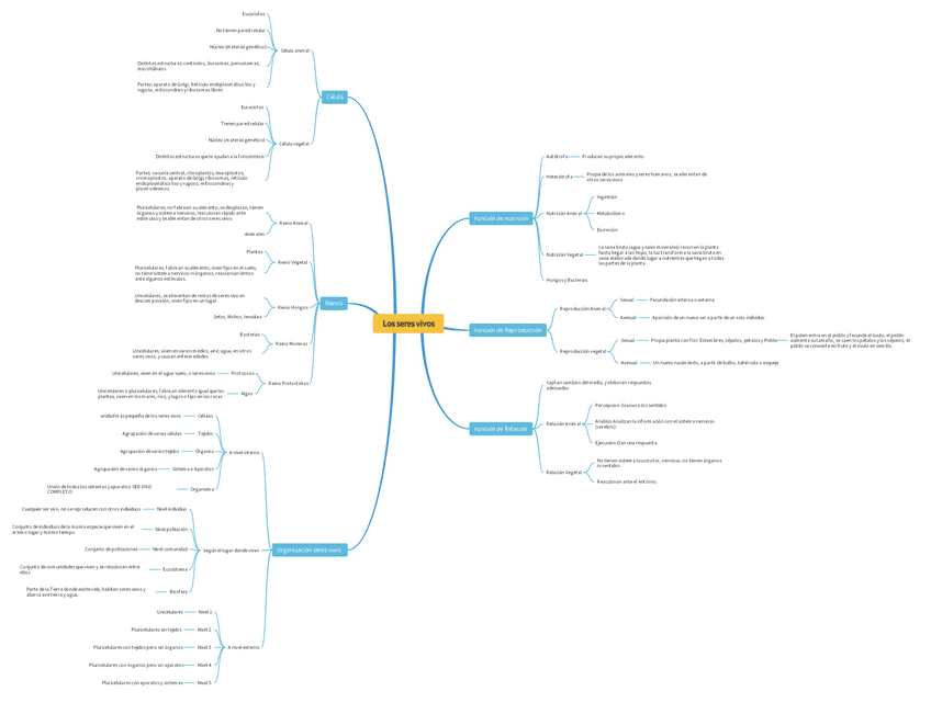 Miniatura del documento Los-seres-vivos.pdf