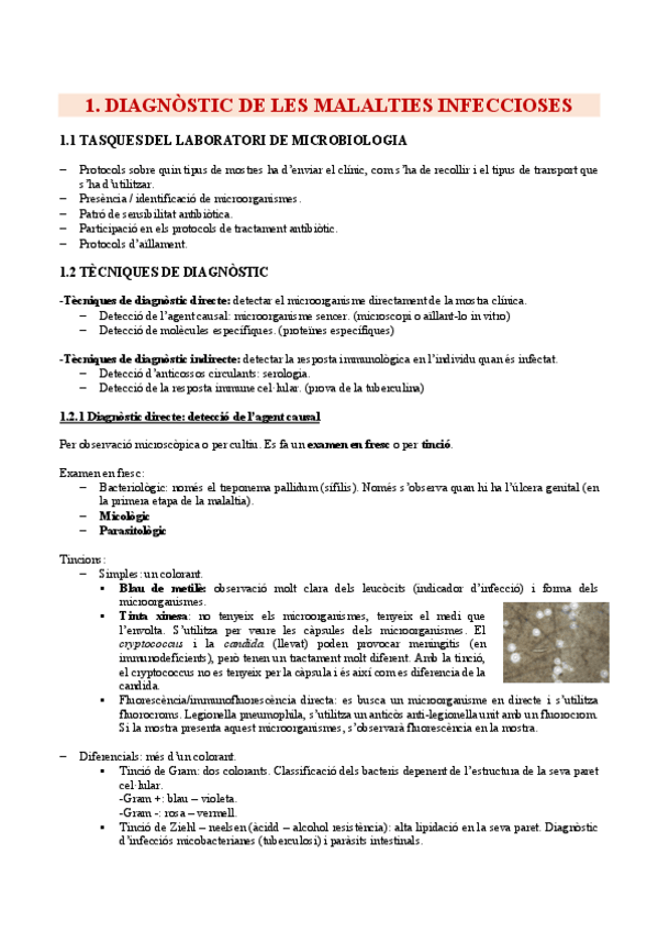 Miniatura del documento Seminaris-microbiologia.pdf
