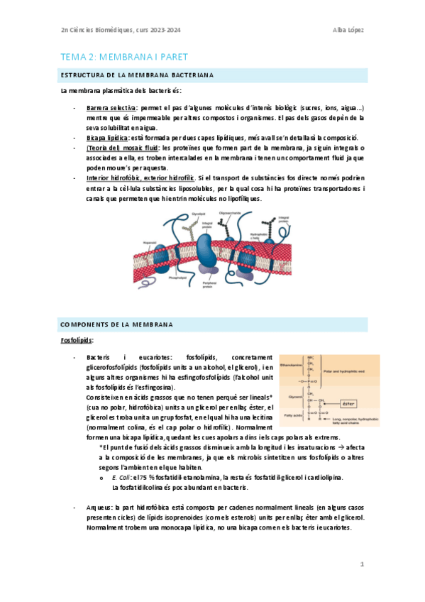 Miniatura del documento Tema-2.-Membrana-i-paret.pdf