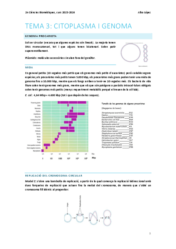Miniatura del documento Tema-3.-Citoplasma-i-genoma.pdf