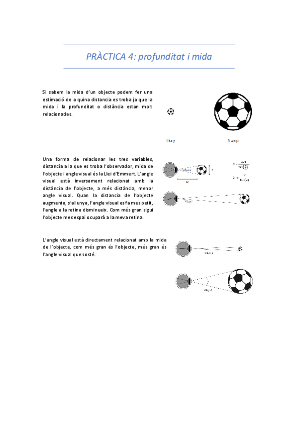 Miniatura del documento Practica-4-vision.pdf