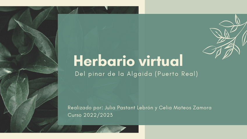 Miniatura del documento Herbario-Virtual.pdf