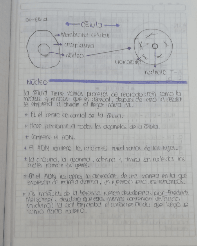 Miniatura del documento 20231002193747mfnr.jpg