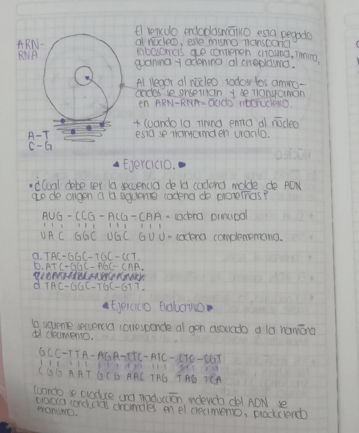 Miniatura del documento 20231002193759mfnr.jpg