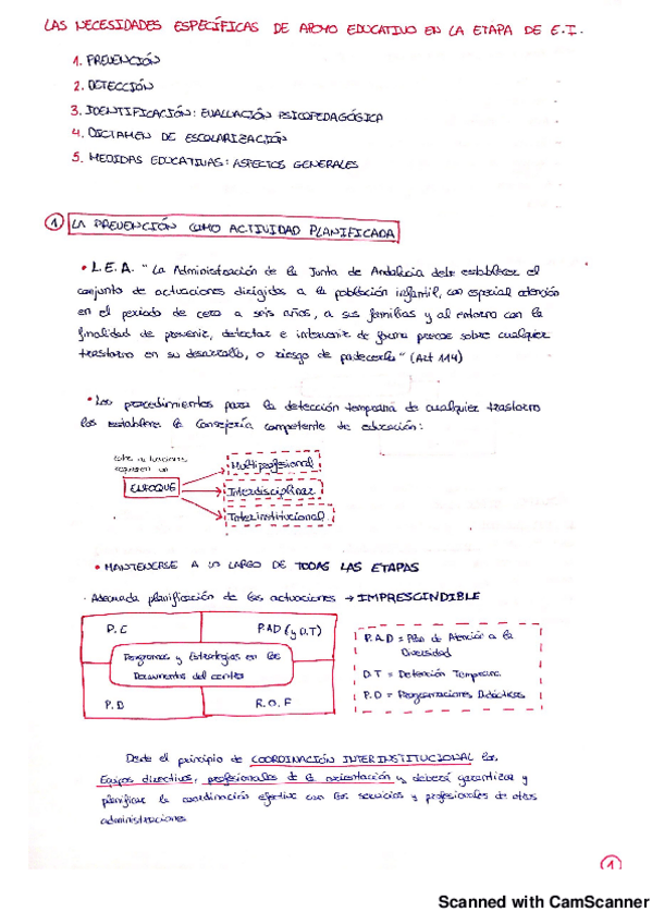 Miniatura del documento NECESIDADES ESPECÍFICAS DE APOYO EDUCATIVO EN ED. INF..pdf