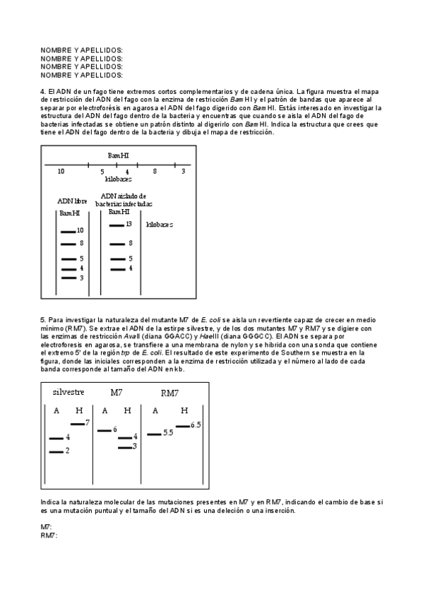 Miniatura del documento serie2.pdf