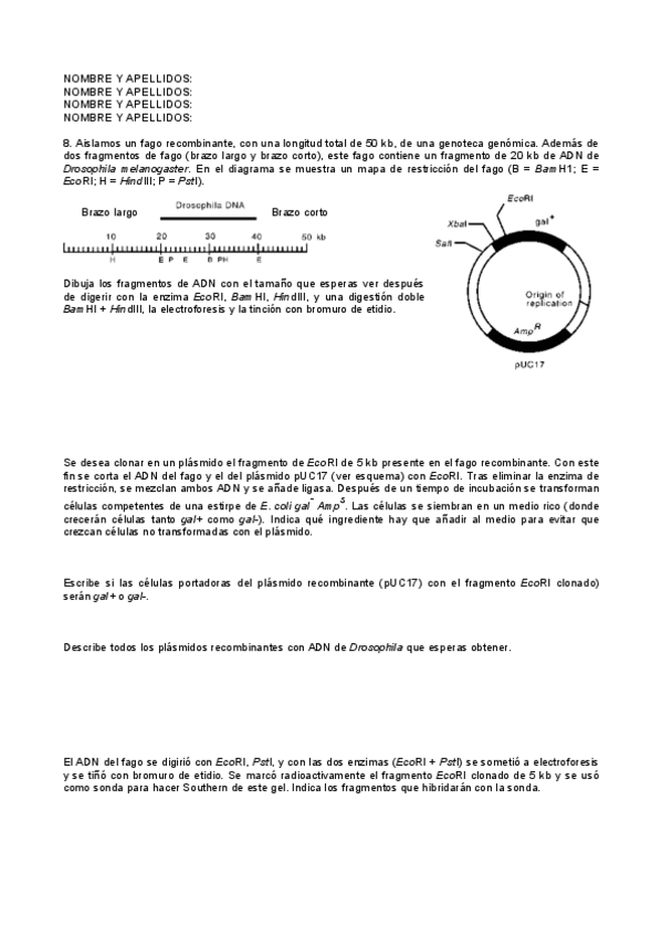 Miniatura del documento serie3.pdf