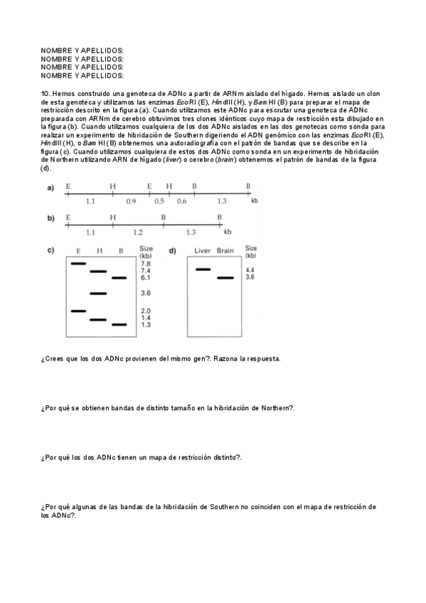 Miniatura del documento serie4.pdf