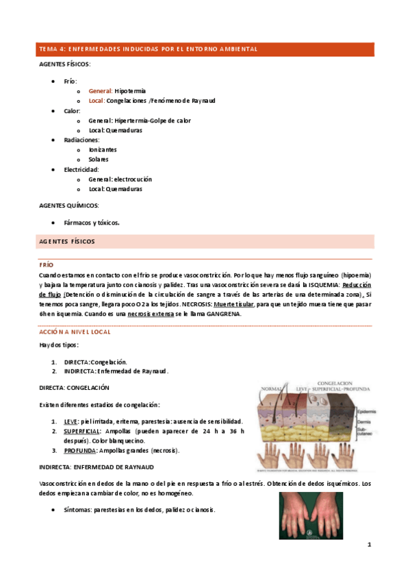Miniatura del documento Tema-4.pdf