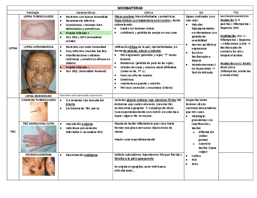 Miniatura del documento MICOBACTERIAS.pdf