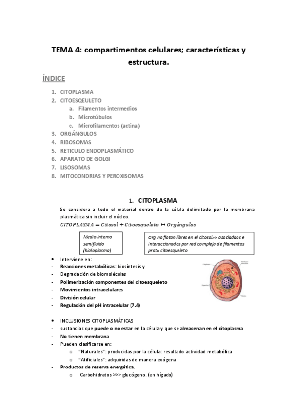 Miniatura del documento TEMA-4-compartimentos-celulares.pdf