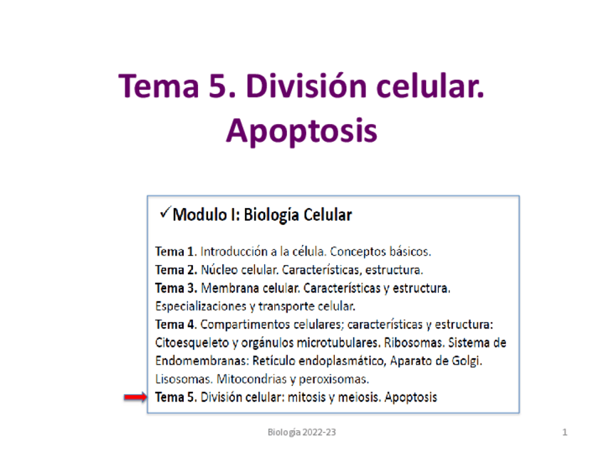 Miniatura del documento Tema-5.-Ciclo-celular.-Apoptosis-.pdf