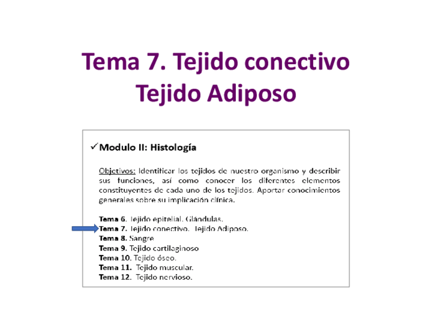Miniatura del documento Tema-7.-Tejido-conectivo.pdf