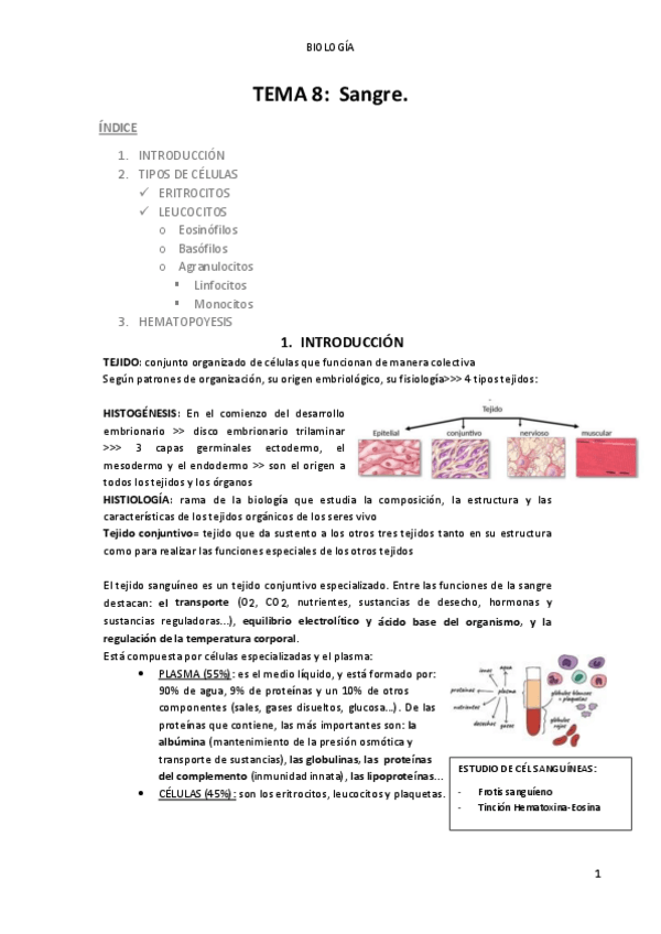 Miniatura del documento TEMA8-LA-SANGRE.pdf