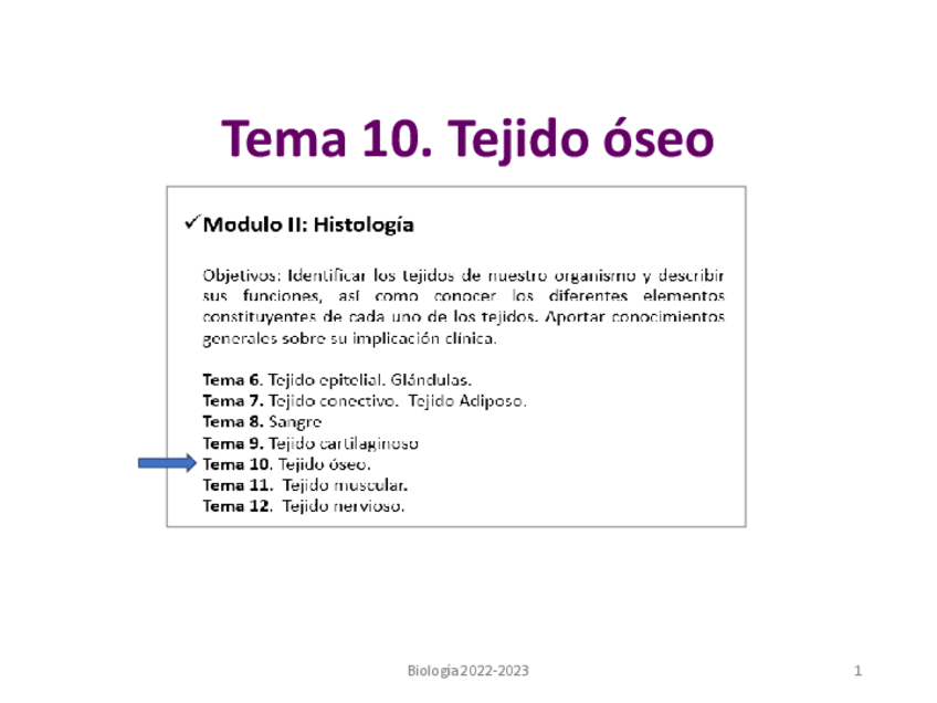 Miniatura del documento Tema-10.-Tej.-Oseo-1.pdf