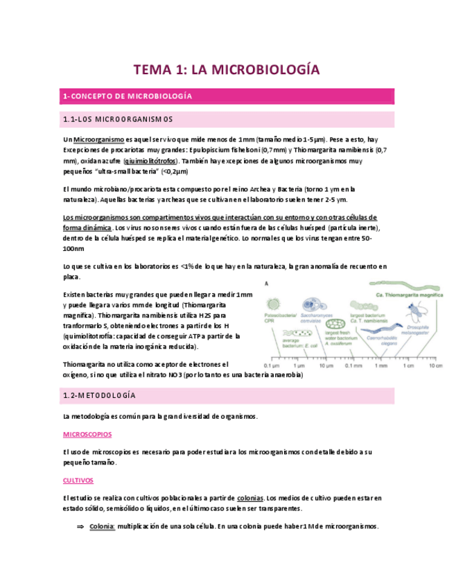 Miniatura del documento TEMA-1-Micro-Conceptos-basicos.pdf