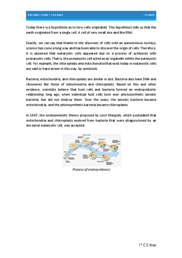 Miniatura del documento ACTV-BIOQUIMICA-U-1.pdf