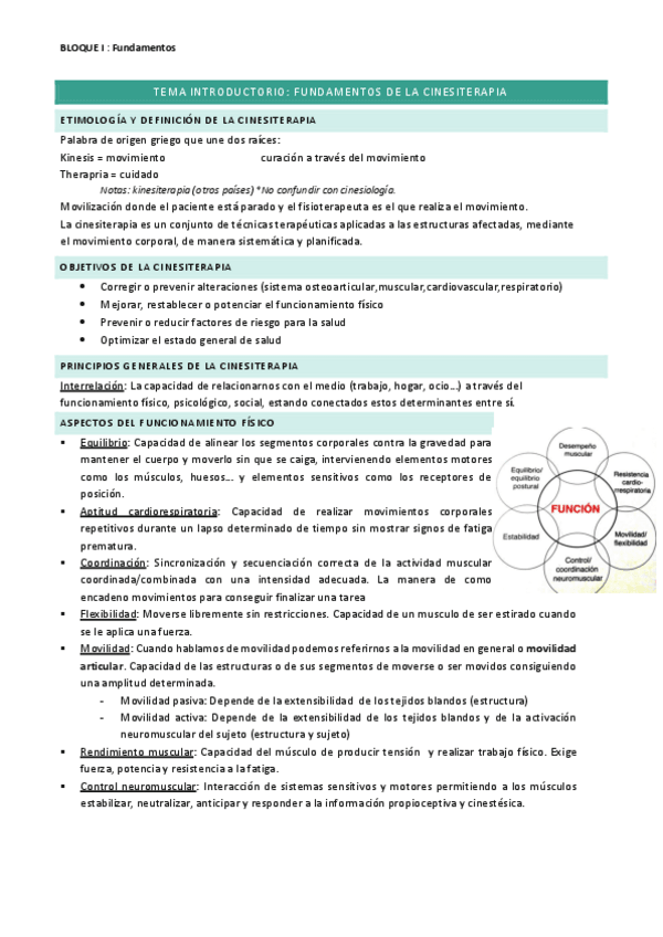 Miniatura del documento BLOQUE-I-Fundamentos-Cinesiterapia.pdf