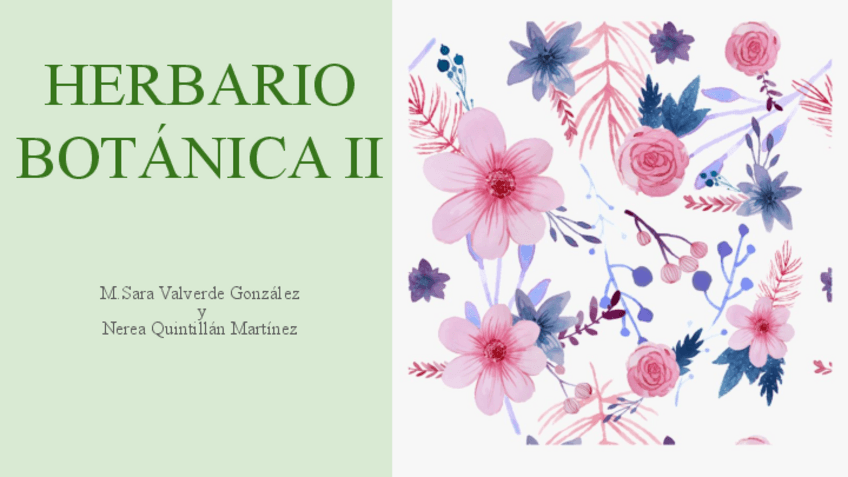 Miniatura del documento HERBARIOBOTANICA2.M.SARAVALVERDEGONZALEZ-Y-NEREAQUINTILLANMARTINEZ.pdf